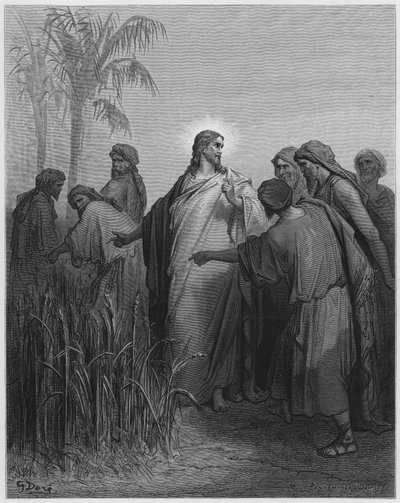 Gesù e i suoi discepoli nel campo di grano da Gustave Dore